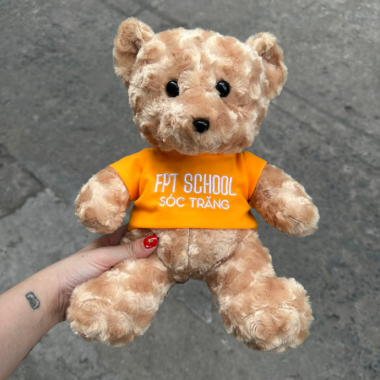 Gấu Bông Thiết Kế In Ấn Theo Yêu Cầu – Quà Tặng Dễ Thương Từ Quà Tặng Nhanh
