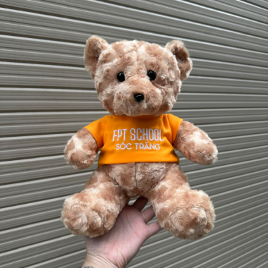 Gấu Bông Thiết Kế In Ấn Theo Yêu Cầu – Quà Tặng Dễ Thương Từ Quà Tặng Nhanh