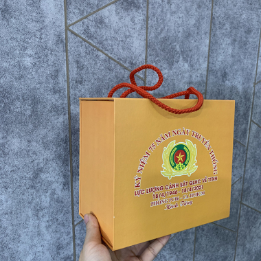 Túi Giấy Quà Tặng In Logo Theo Yêu Cầu – Cán Mờ Dây Dù Sang Trọng