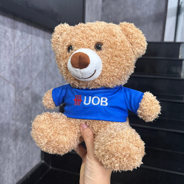 Gấu Bông Teddy Thêu & In Logo Theo Yêu Cầu – Quà Tặng Doanh Nghiệp Dễ Thương