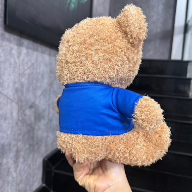 Gấu Bông Teddy Thêu & In Logo Theo Yêu Cầu – Quà Tặng Doanh Nghiệp Dễ Thương