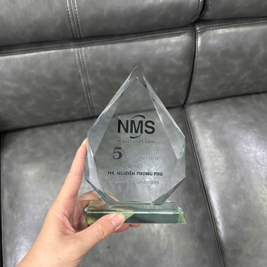 Kỷ Niệm Chương Làm Theo Yêu Cầu – Pha Lê, Gỗ, Mica, Sang Trọng, Giá Rẻ