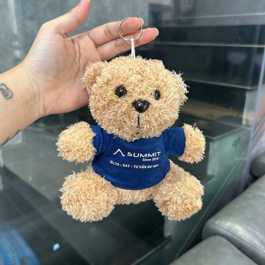 Gấu Bông In Theo Yêu Cầu – Thiết Kế Độc Đáo, Quà Tặng Dễ Thương