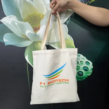 Túi Vải Canvas In Logo Theo Yêu Cầu – Túi Tote Quà Tặng Doanh Nghiệp