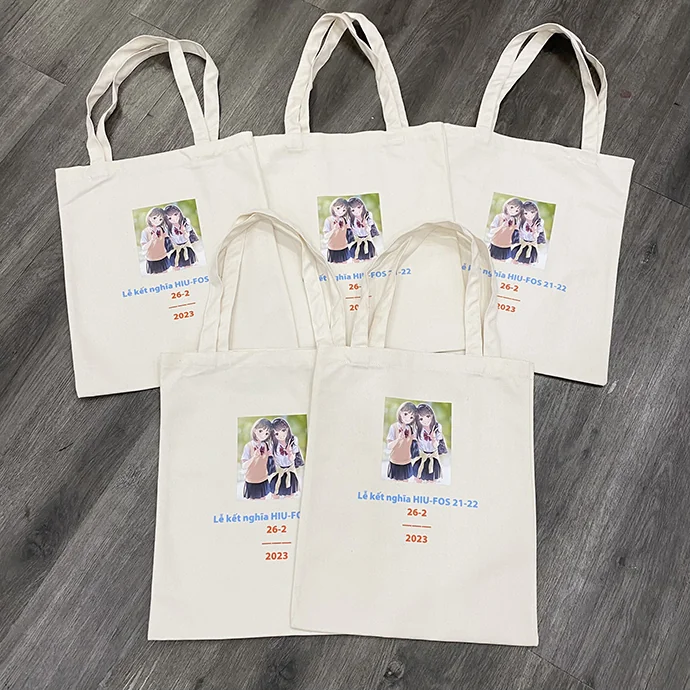 Túi Canvas Đơn Giản In Logo Theo Yêu Cầu – Thiết Kế Đẹp, Giá Tốt